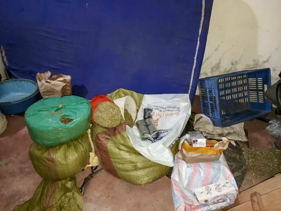 Cannabis sativa recovered in Tassia, Embakasi in Nairobi. PHOTO/@NPSOfficial_KE/X