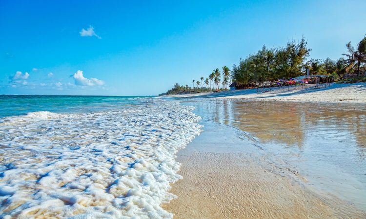 Police recover body of 19-year-old woman found dead in a beach attack