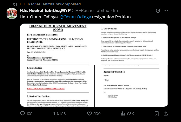 A post shared by Rachel Tabitha on X. PHOTO/Screengrab by K24 Digital from @HERachelTabitha
