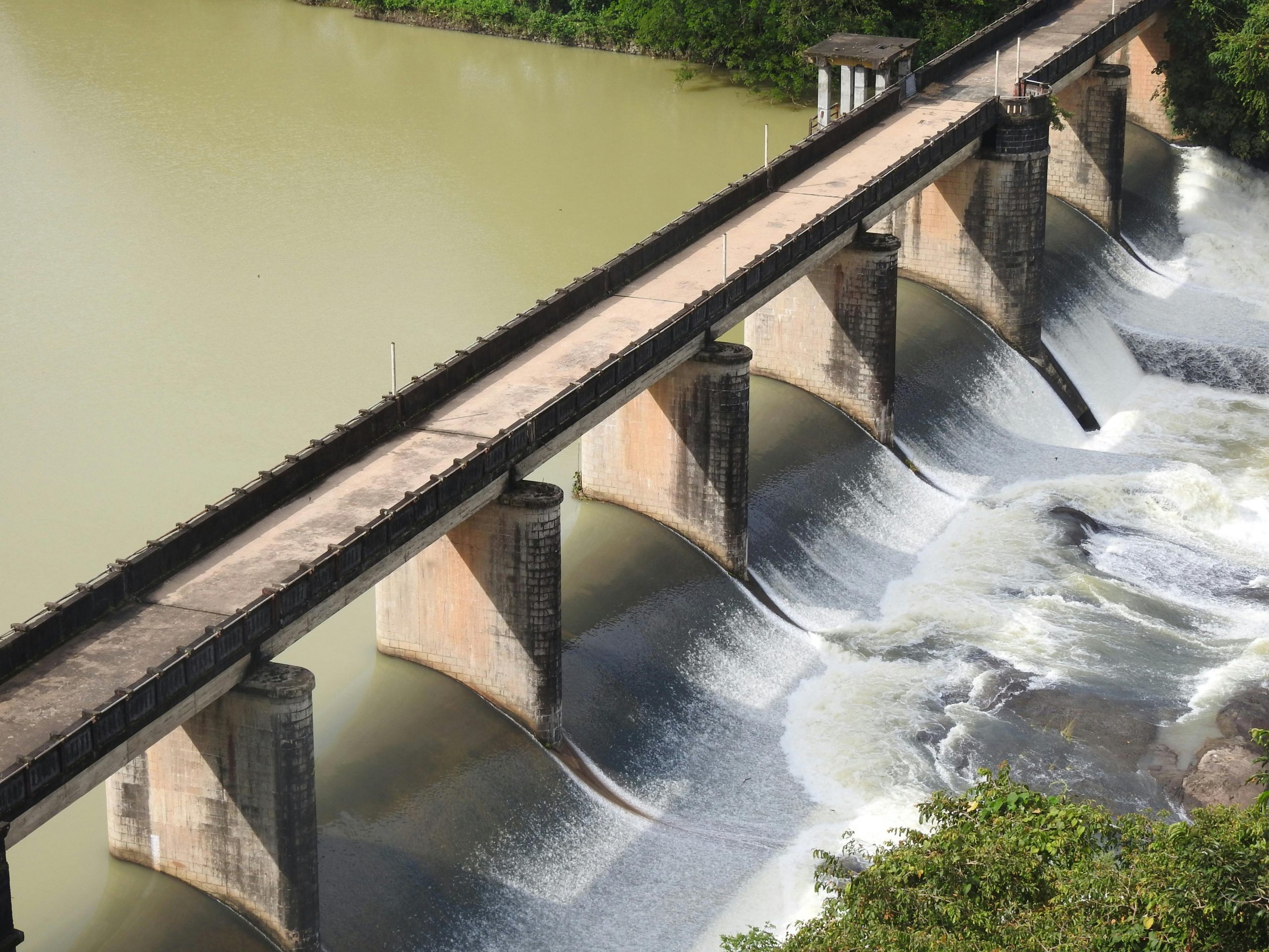 Sotik: Police probe murder after body of M-Pesa agent found in dam