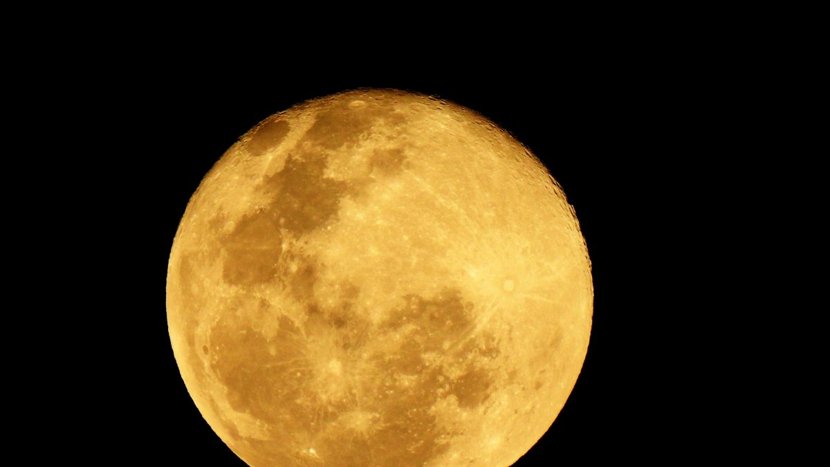Beaver Supermoon 2025: When is the best time to watch the striking lunar event in Kenya on Wednesday, November 5?