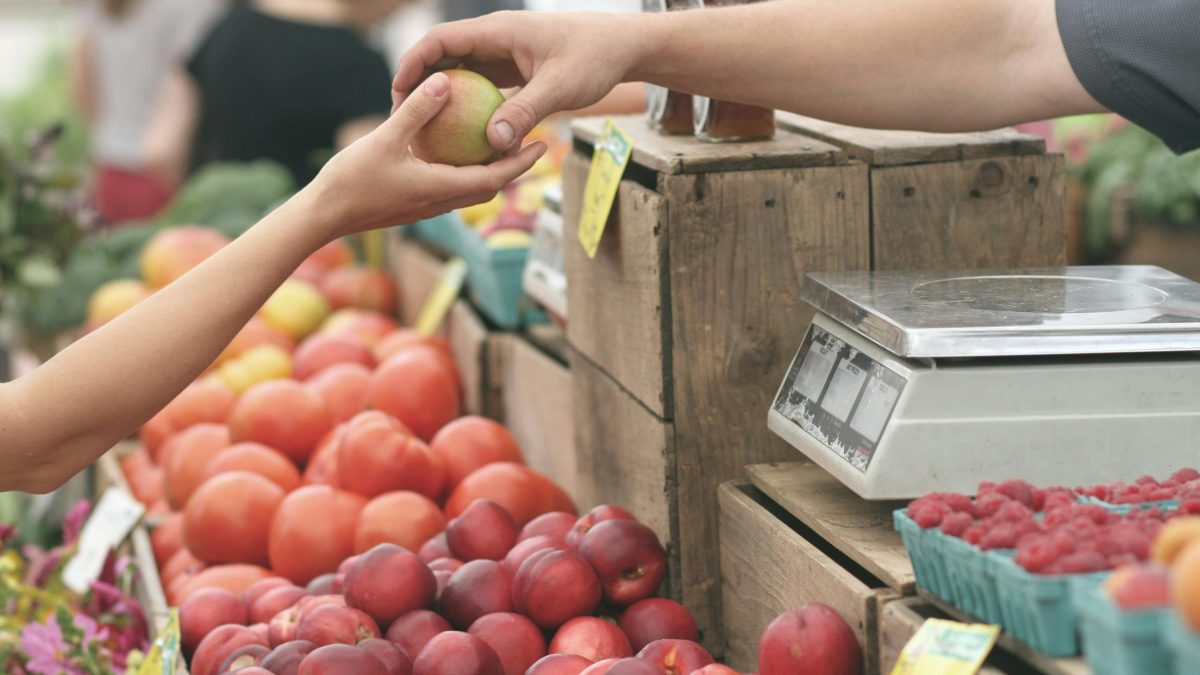 Why eating fibre is good for your brain