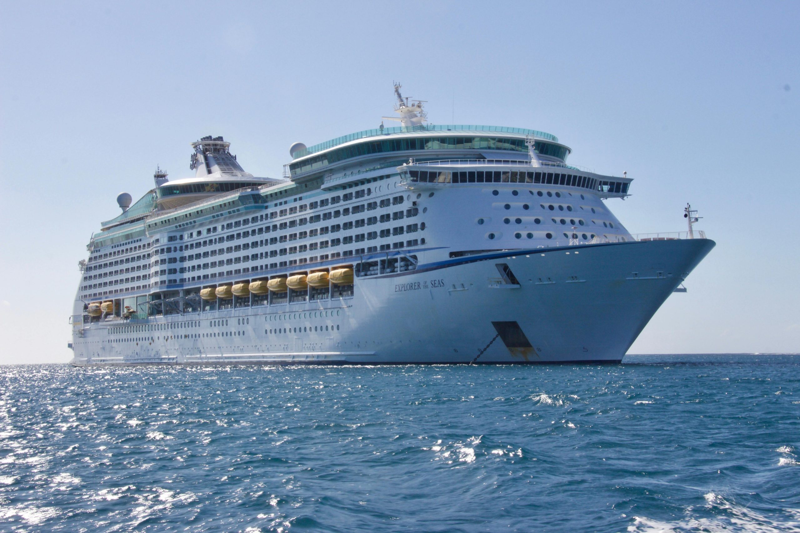 Inside the stranded ship carrying 3,000 cattle for 55 days