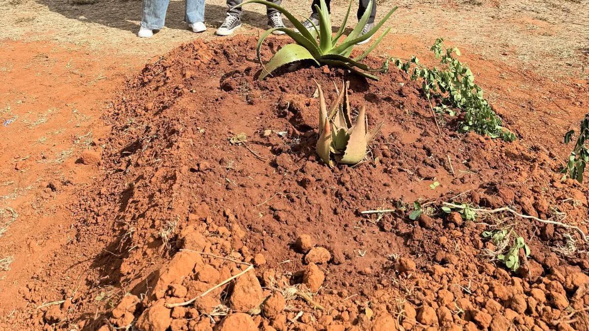Actor Bilal Wanjau laid to rest in emotional Machakos burial
