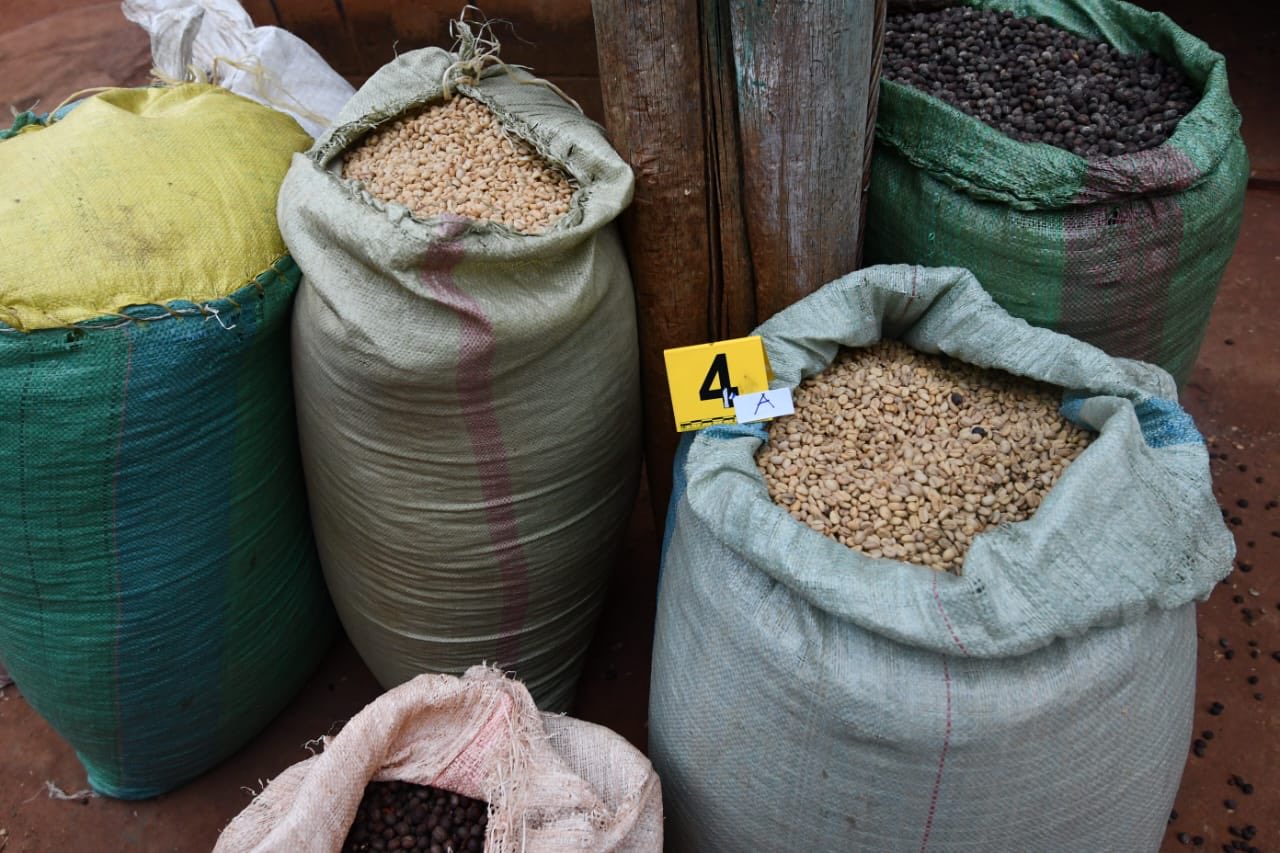 Detectives nab a man linked to theft of 3600kg of coffee in Kimimini