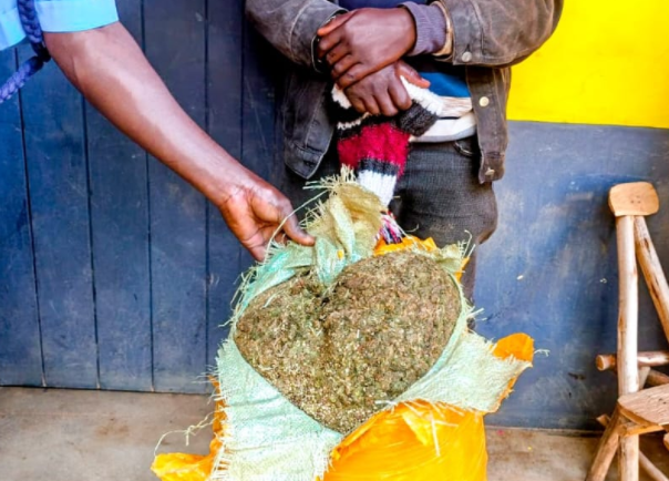 The recovered bhang.