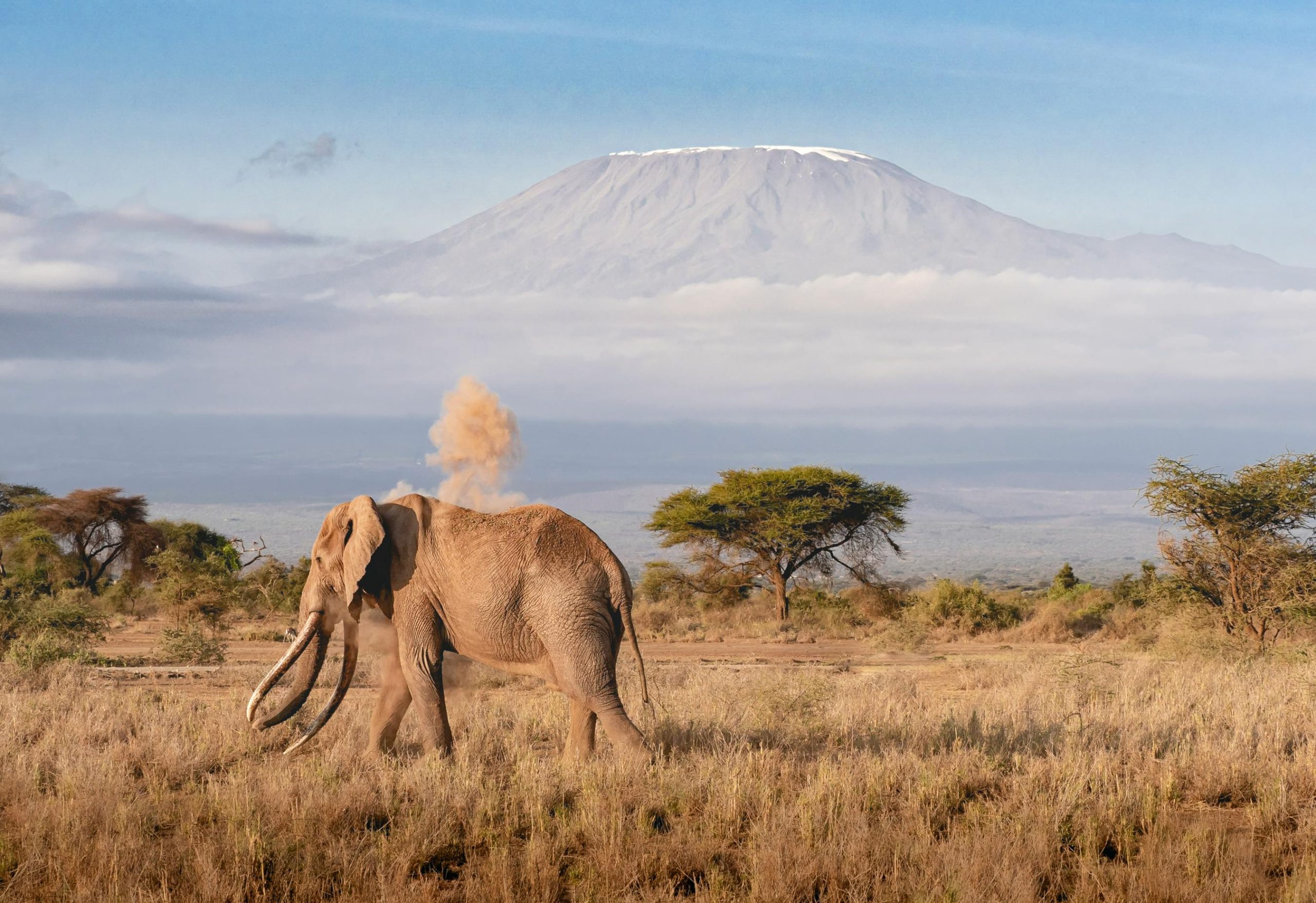 5 dead after rescue helicopter crashes on Mount Kilimanjaro