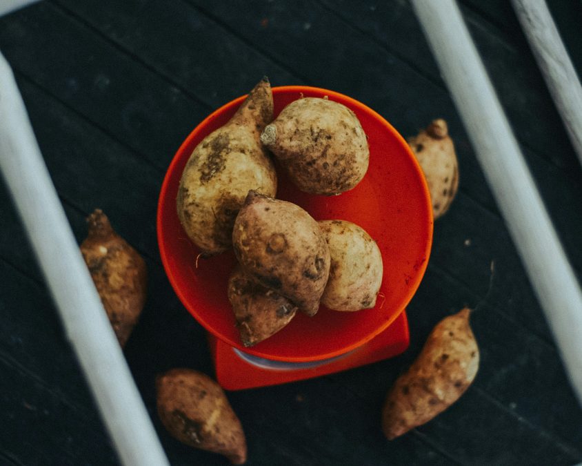 Sweet potatoes in a red bowl. Image used for illustration purposes. PHOTO/Pexels
