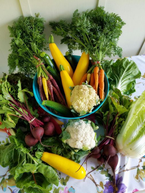 Assorted vegetables. Image used for illustration purposes. PHOTO/Pexels
