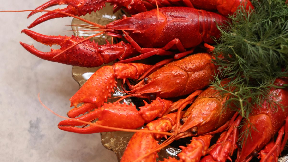 Fake transporters vanish with lobsters worth Ksh52M in calculated operation