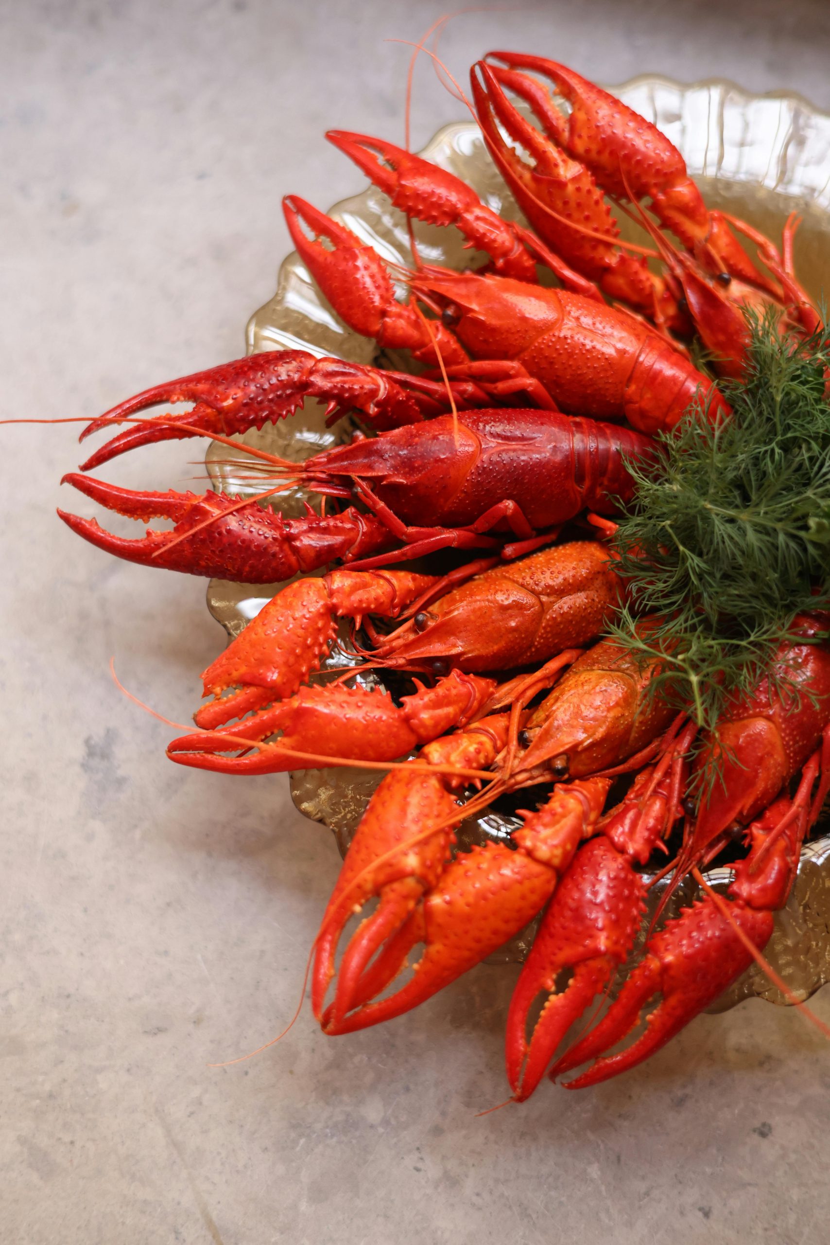 Fake transporters vanish with lobsters worth Ksh52M in calculated operation
