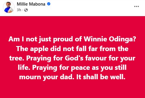 Millie Odhiambo’s reaction after Winnie Odinga’s interview. PHOTO/ https://www.facebook.com/millie.mabona