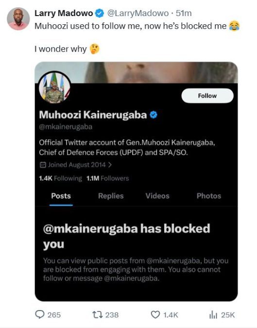 Posts made by Larry Madowo. PHOTO/Screengrab by K24 Digital from https://x.com/LarryMadowo
