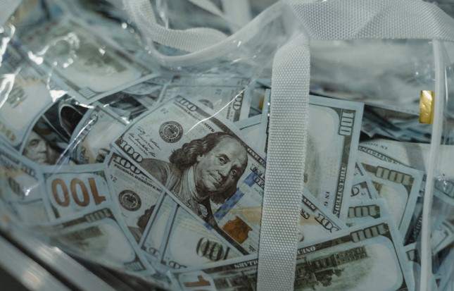 Dollars in a clear bag. Image used for representation purpose. PHOTO/Pexels