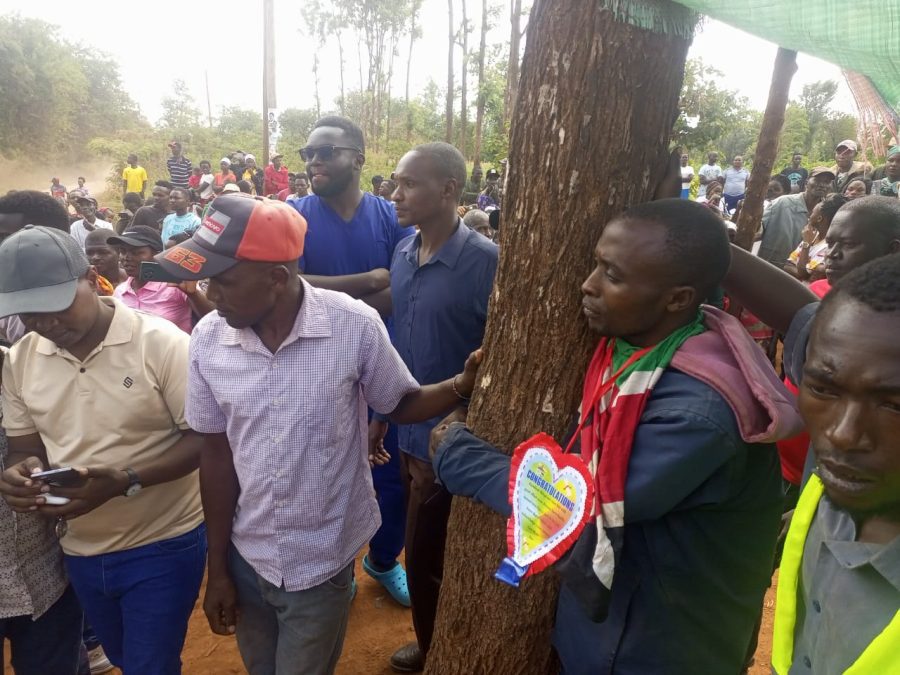 Eric Munene of Ciambugu, Mbeere North, clings to a tree in a 90-hour protest. PHOTO/Brian Malila