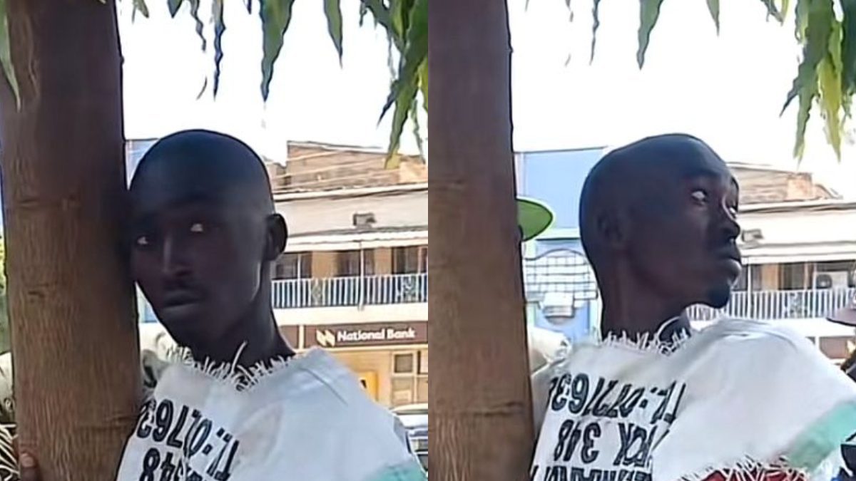 Enough! Kenyans react as Kirinyaga man launches another tree-hugging challenge