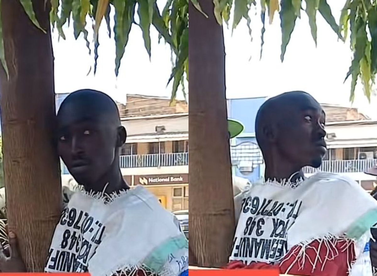 Enough! Kenyans react as Kirinyaga man launches another tree-hugging challenge