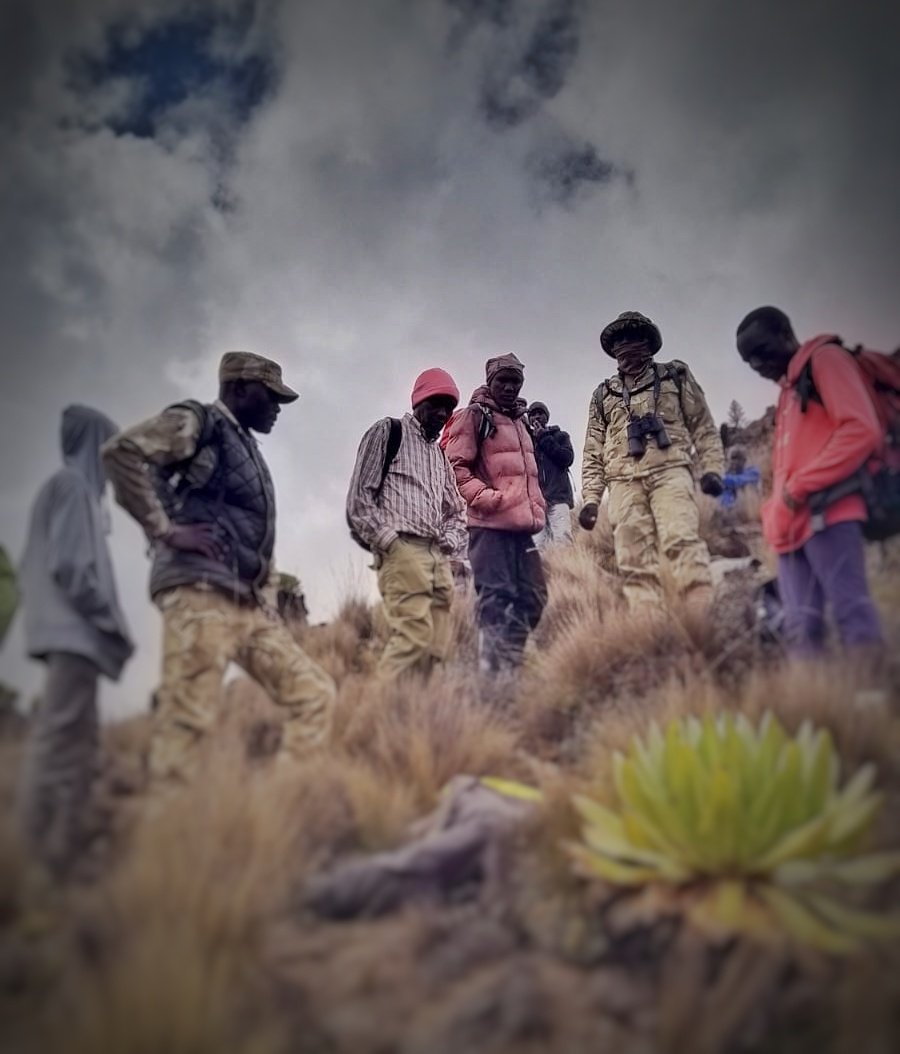 KWS recovers body of missing porter after an 18-day-long search in Mt Kenya