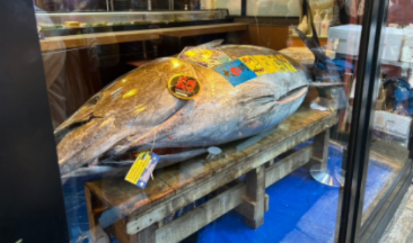 Popular Japanese sushi chain pays record Ksh418M for single tuna fish