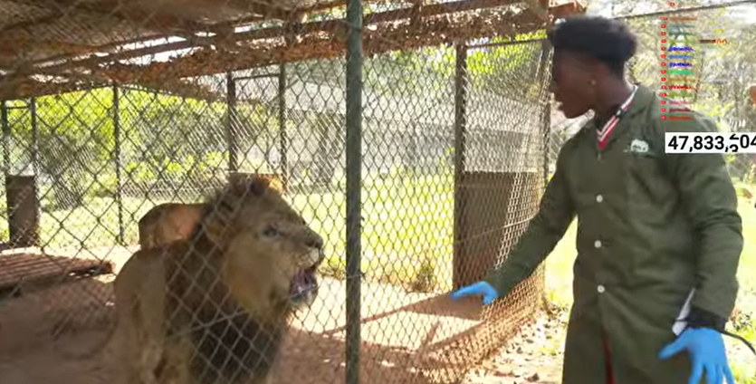 Fans go wild as IShowSpeed visits Nairobi National Park