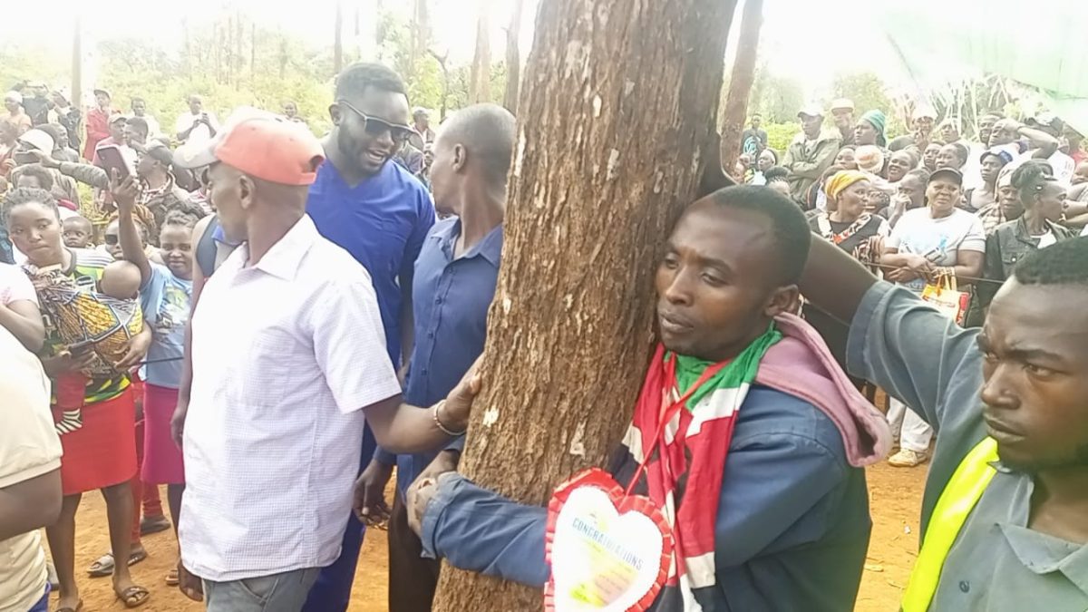 Eric Munene of Ciambugu, Mbeere North, clings to a tree in a 90-hour protest. PHOTO/Brian Malila