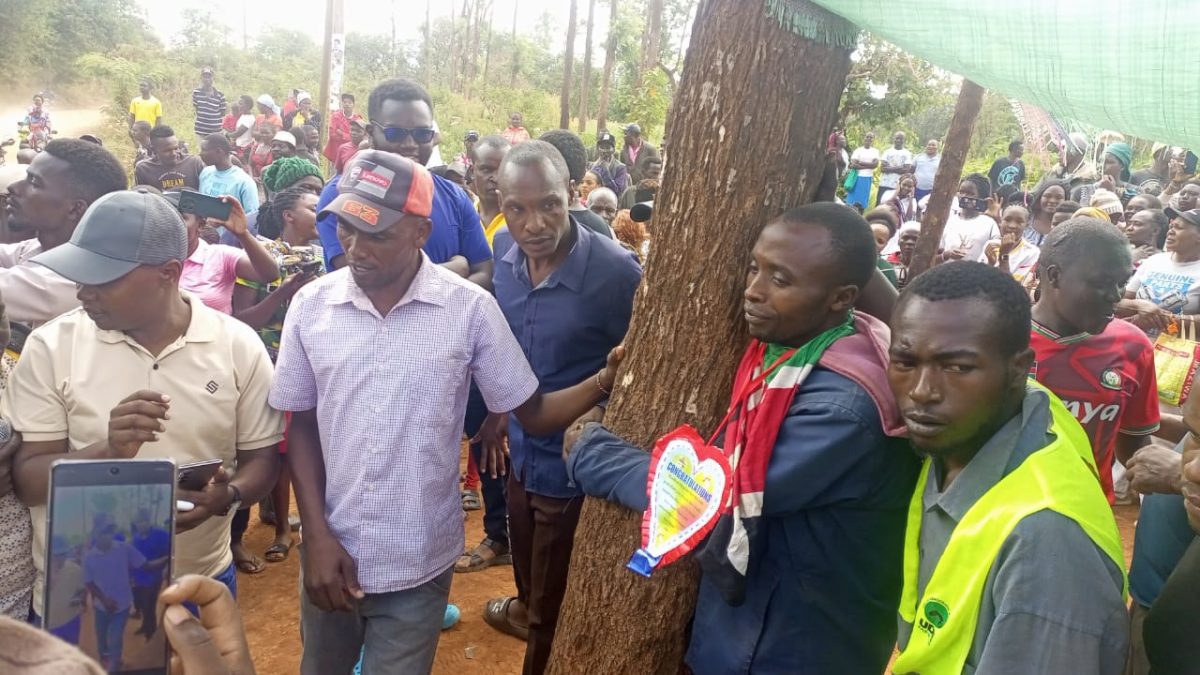 Man from Mbeere North breaks 90-hour tree-hugging challenge