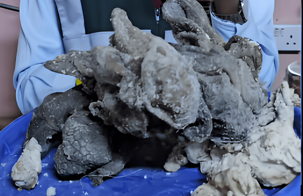 Mosiria scares mutura lovers after nabbing rotten meat being sold
