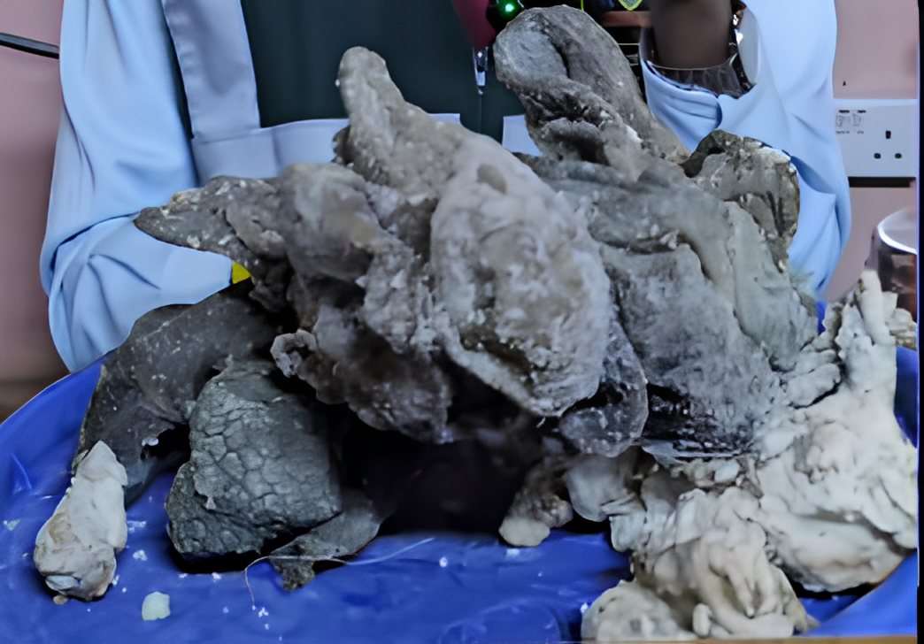 Mosiria scares mutura lovers after nabbing rotten meat being sold