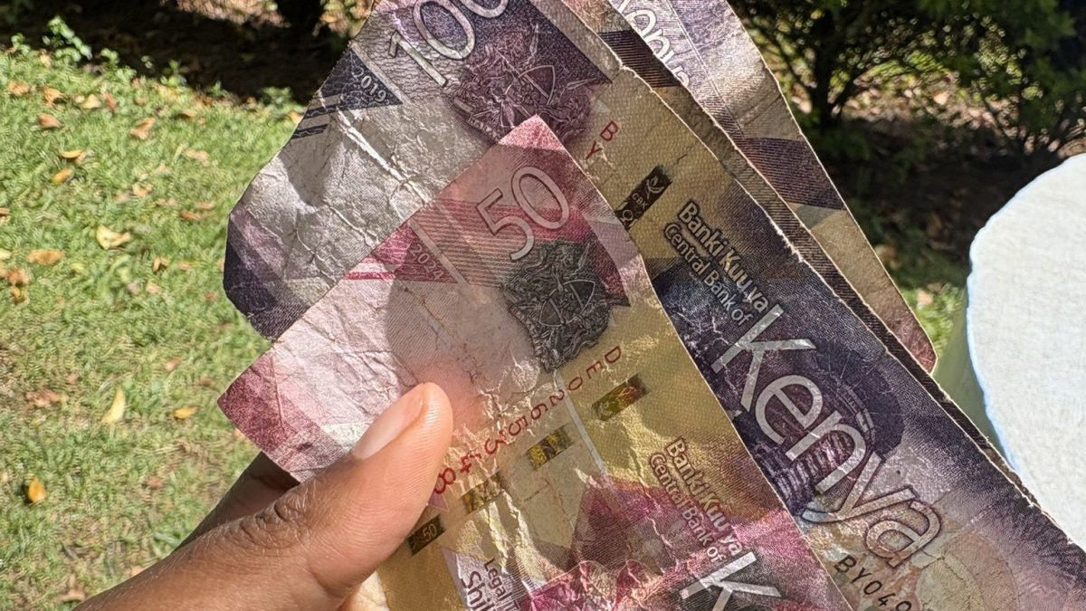 A person holding kenyan currency notes. PHOTO/@Wanjiru2027/X