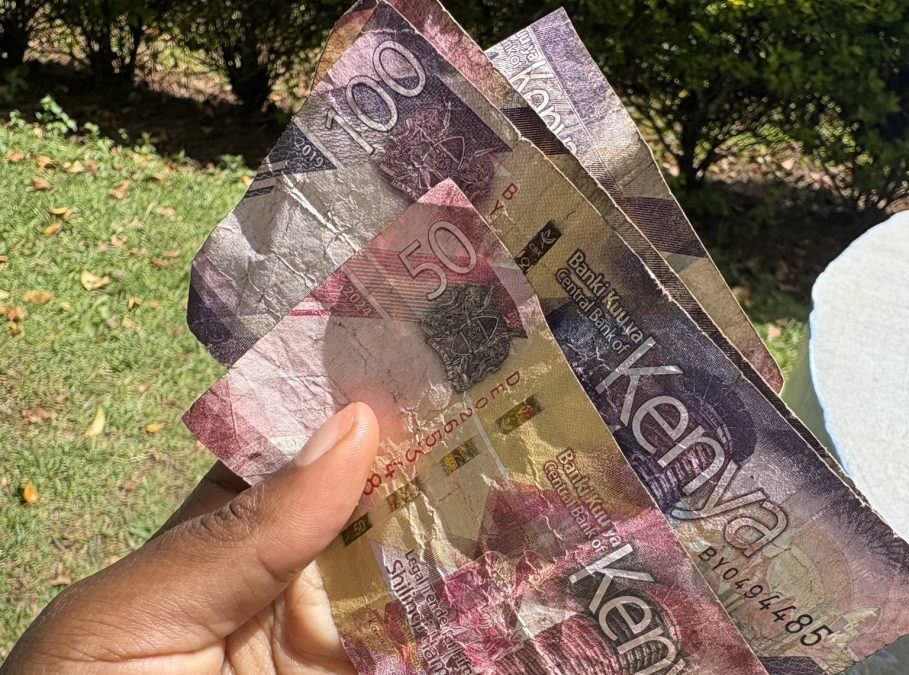 A person holding kenyan currency notes. PHOTO/@Wanjiru2027/X