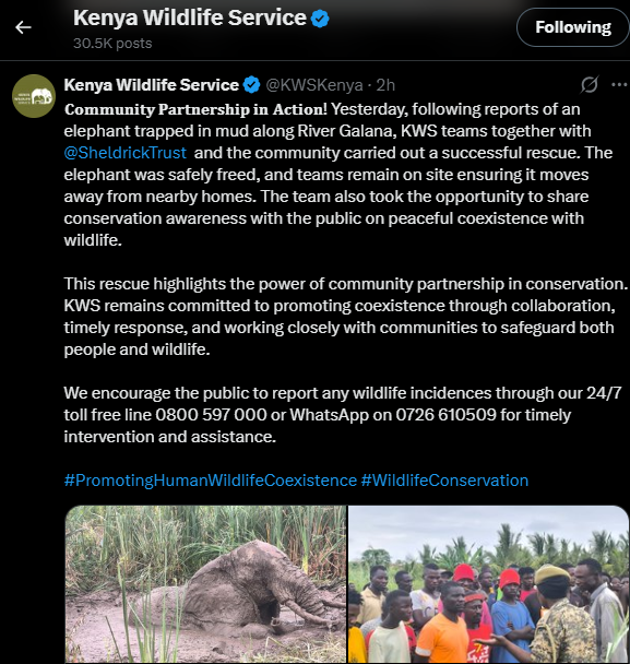 A post shared by KWS on X. PHOTO/Screengrab by K24 Digital