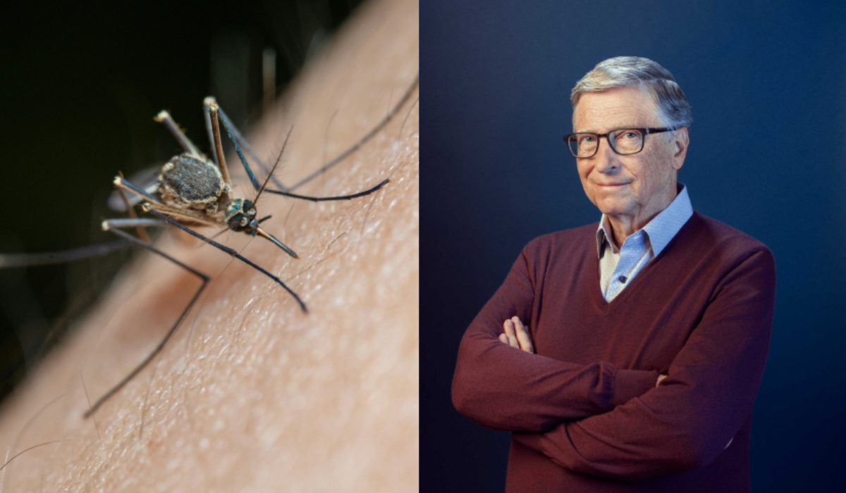Bill Gates’ foundation debunks claims it’s releasing lab-grown mosquitoes in Kenya