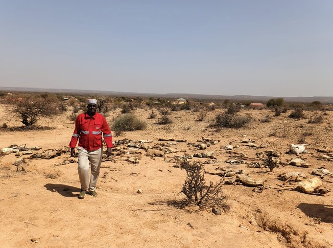 A Kenya Red Cross personnel. PHOTO/@KenyaRedCross/X