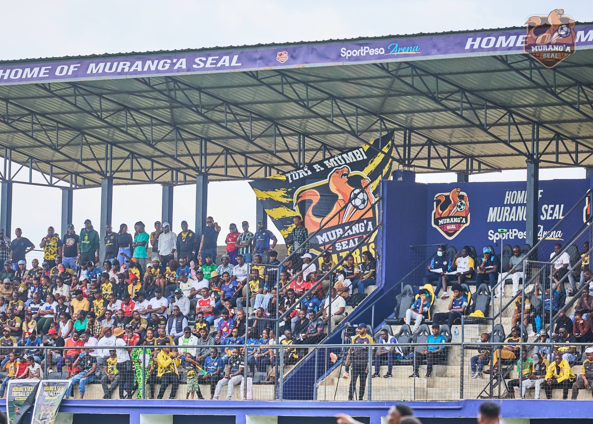 From empty seats to packed terraces: How Murang’a Seal is building formidable fanbase