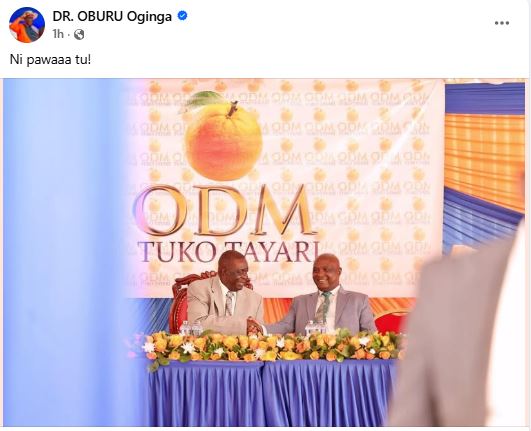ODM party leader Oburu Odinga’s satement. PHOTO/ https://www.facebook.com/THEPLATFORMconnect