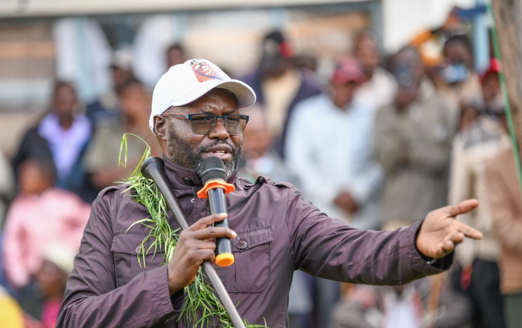 Autopsy reveals how Johana Ng'eno died after chopper crash