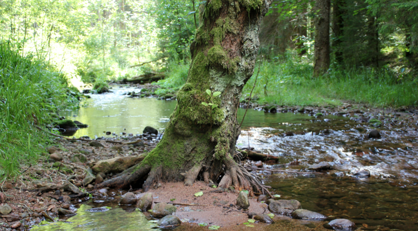 10 best affordable family adventures in Europe