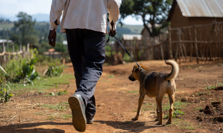 How owning a pet can improve your health and happiness