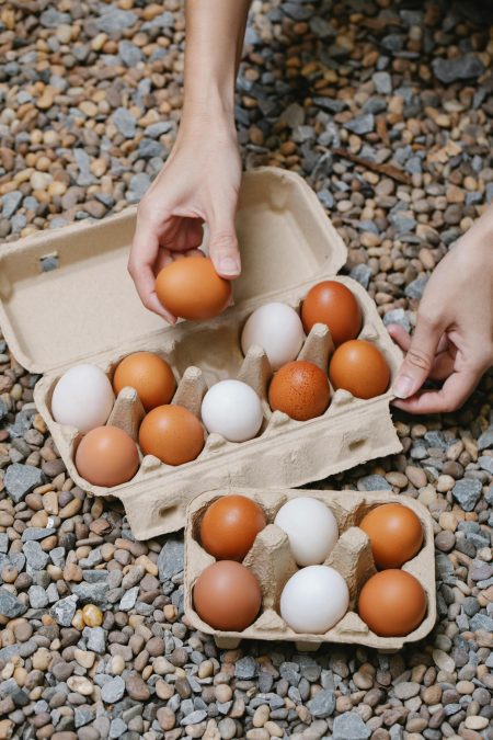 A farmer colllecting eggs. PHOTO/Pexels