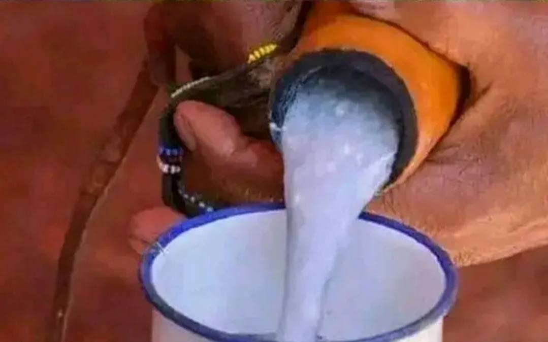 Someone serving a cup of Mursik. PHOTO/https://web.facebook.com/david.ngetich.14