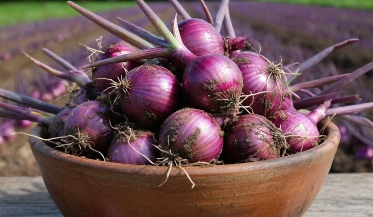 5 surprising ways you can use onions beyond cooking