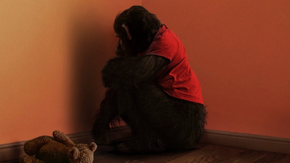 Primate review: Rabid chimp turns tropical paradise into a bloodbath