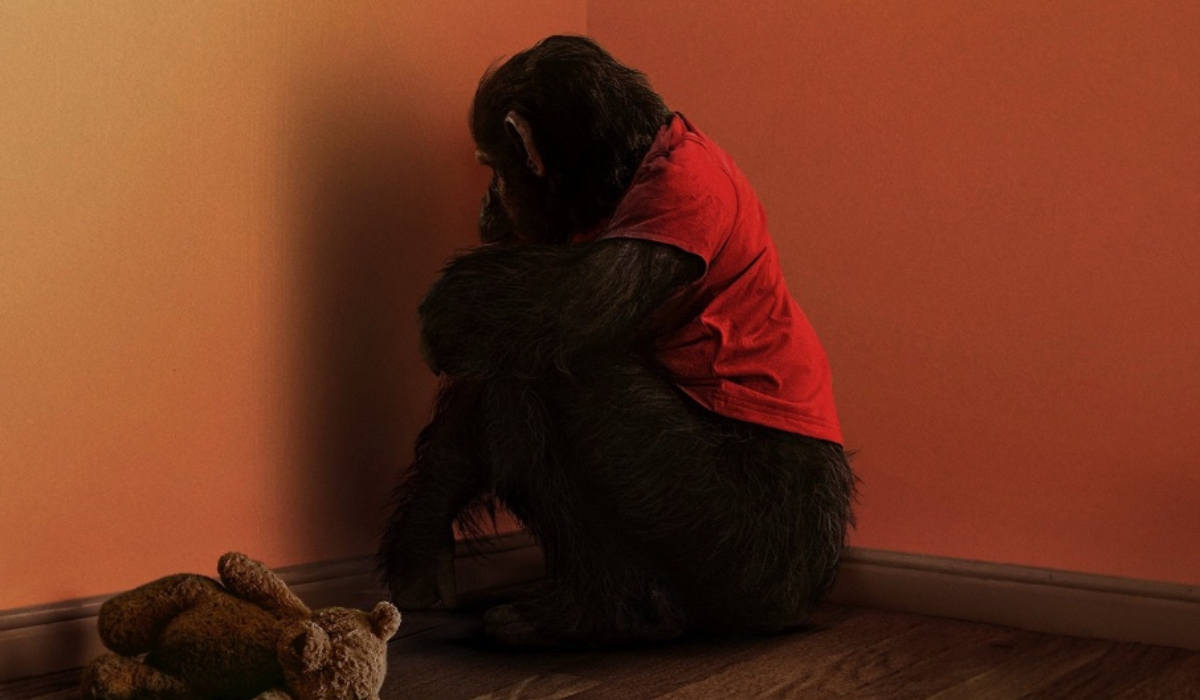 Primate review: Rabid chimp turns tropical paradise into a bloodbath