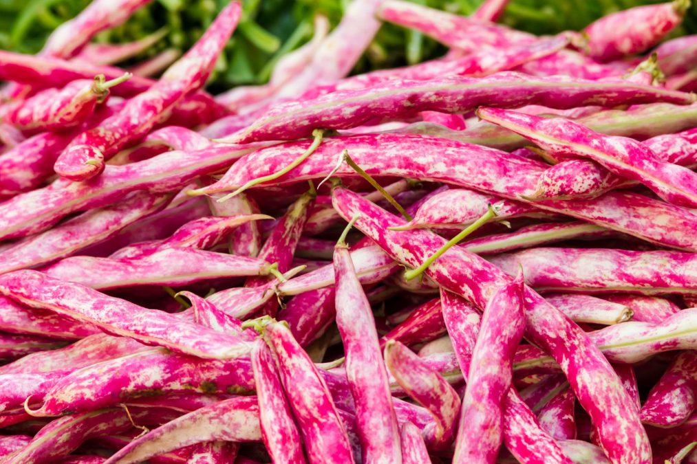 A rosecoco bean variety. PHOTO/Photo generated by AI