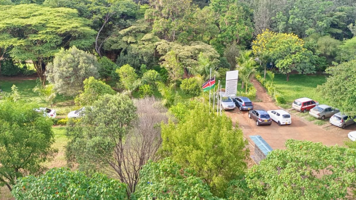Hidden gems to visit this Easter within and near Nairobi