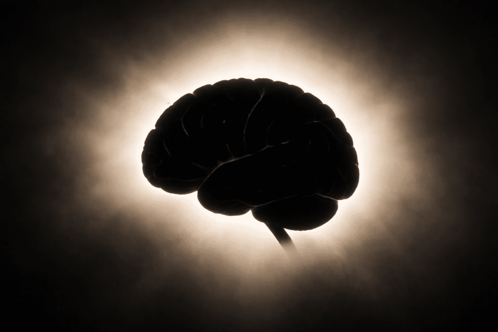 A silhouette of a human brain. PHOTO/Photo generated by AI