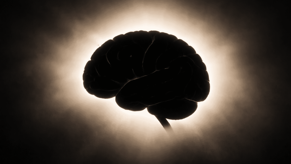A silhouette of a human brain. PHOTO/Photo generated by AI