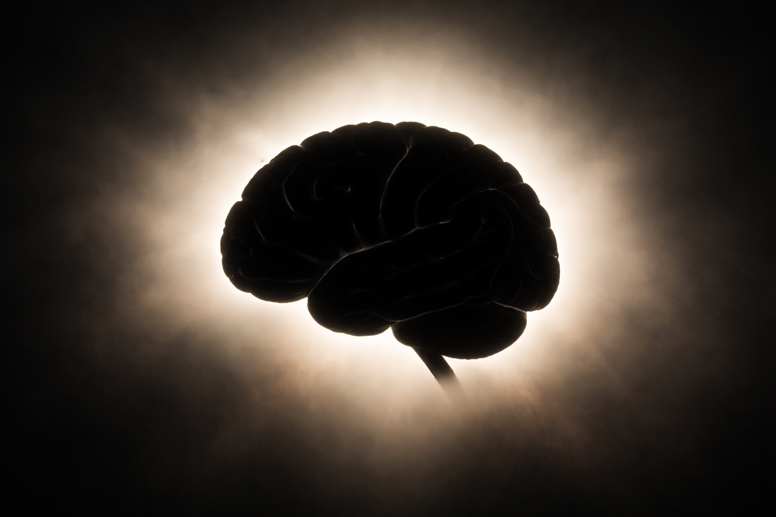 Brain bran: The protective effect that fibre has on cognition