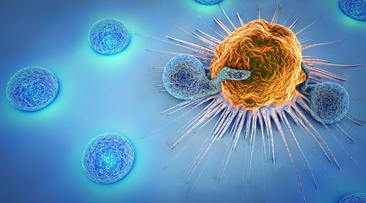 How a new wave of immunotherapy is eliminating cancers