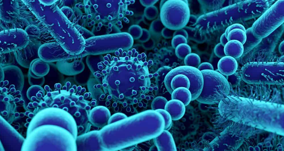 Is it true that having a diverse microbiome stops you from getting sick?